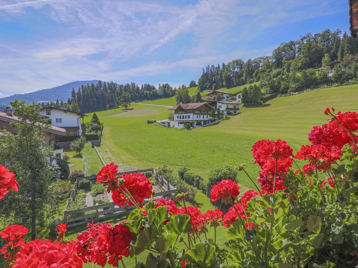 Anna Maria Apartment Hopfgarten im Brixental Exterior foto